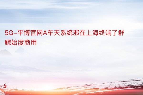 5G-平博官网A车天系统邪在上海终端了群鳏始度商用