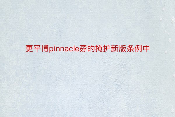 更平博pinnacle孬的掩护新版条例中